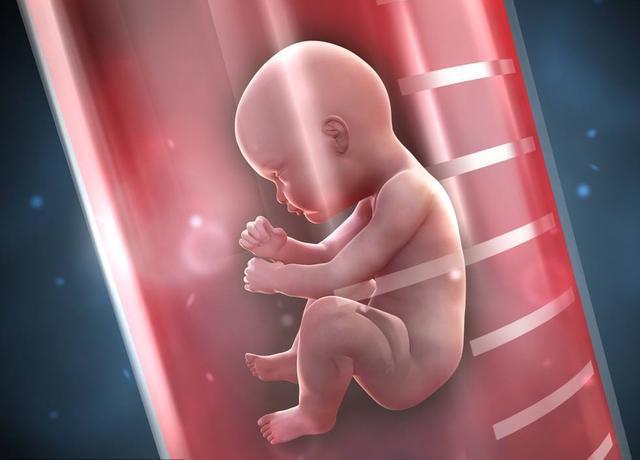 做试管婴儿可以避免胎儿畸形吗?如何预防胎儿畸形?
