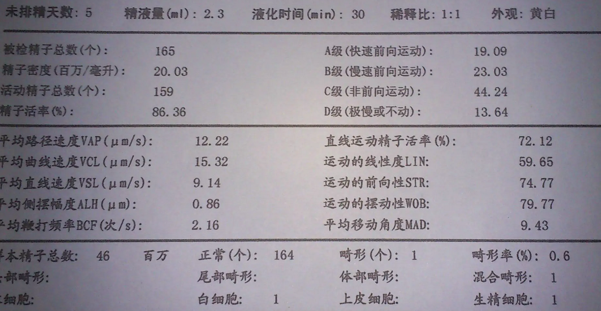 试管精液检查中哪些因素会影响检查的结果