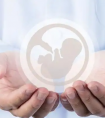 做试管婴儿移植之后为什么还需要保胎?