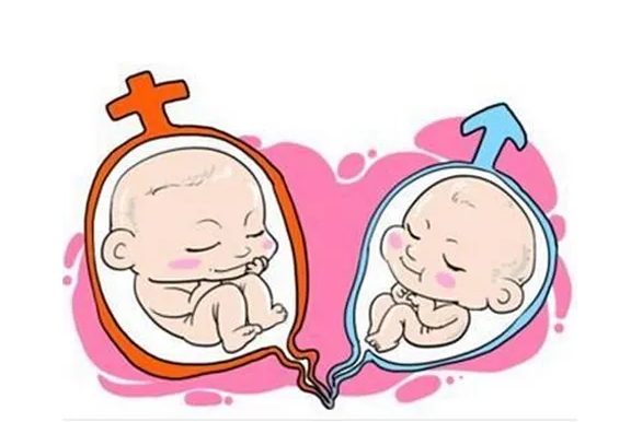 试管婴儿很容易生双胞胎?这是真的吗?