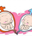 试管婴儿很容易生双胞胎?这是真的吗?
