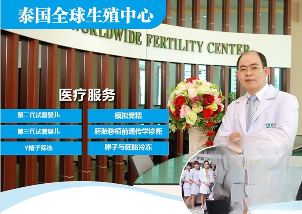 提迪贡博士