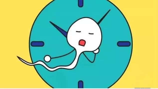 无精症能做试管婴儿吗？这些方面要考虑