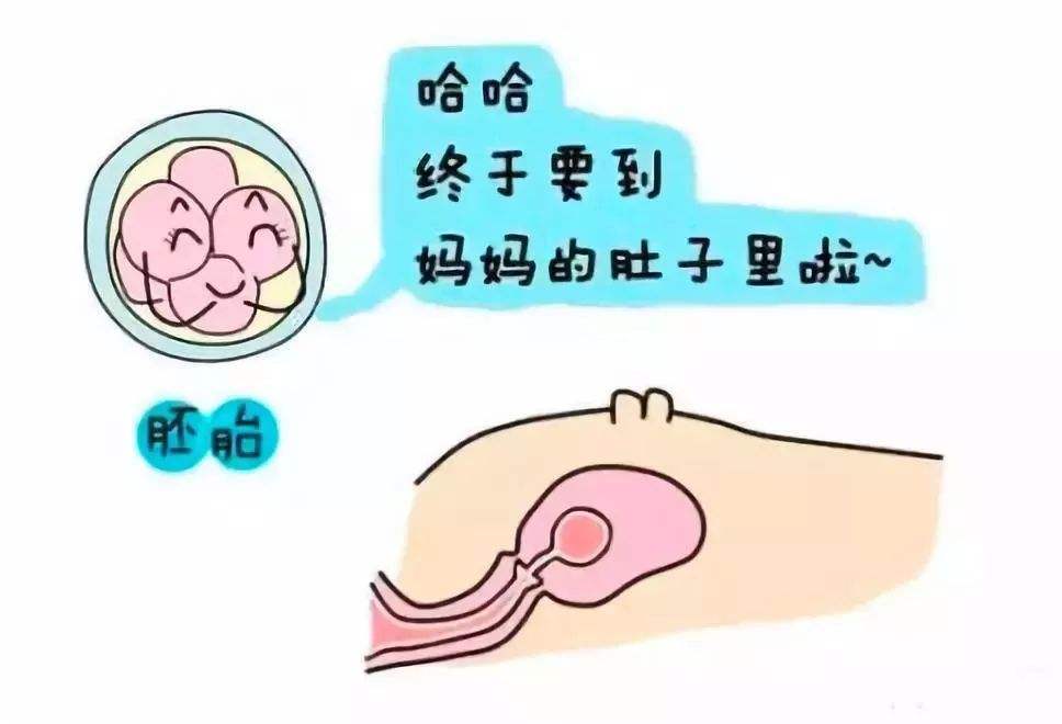 试管婴儿移植多次都不着床怎么办？注意五个点
