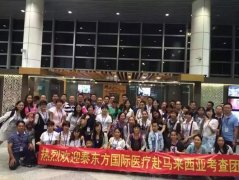 泰东方国际医疗团队赴马来西亚考察