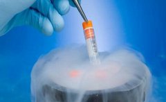 试管婴儿：冷冻胚胎移植什么时候好？
