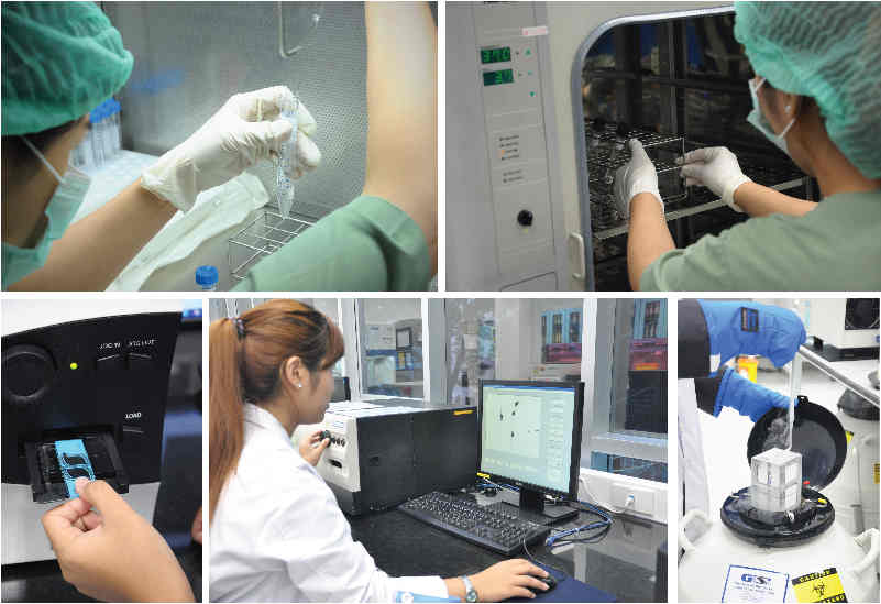 河南郑州供卵试管婴儿医院