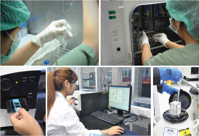 第一代、第二代、第三代和第四代借卵私立供卵试管之间有什么区别吗？进来看看吧!...