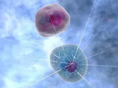 子宫肌瘤做手术是否要先做手术？