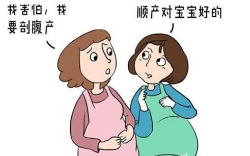 试管婴儿实验室设备出售