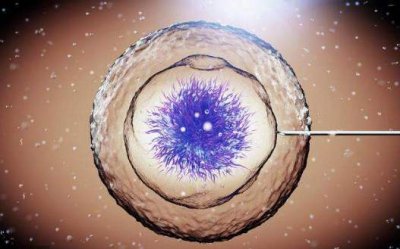 做试管婴儿也要挑时间?专家说：可以不分季节，但必须要分年龄