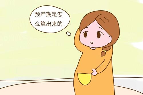 我们做试管婴儿应该怎么计算预产期？