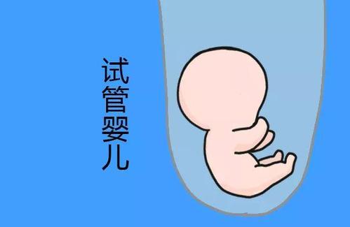 试管婴儿是从试管里诞生的吗?一文告诉你真相……