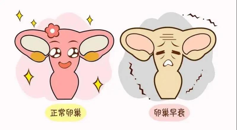 卵巢早衰不能生了吗？小心自己吓自己