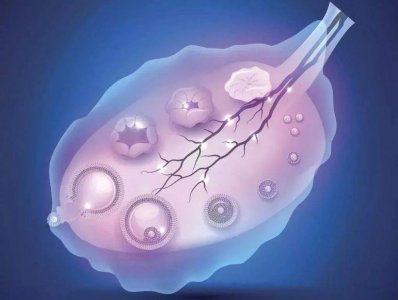 早日发现“卵巢早衰”的7个关键，提前做好备孕工作