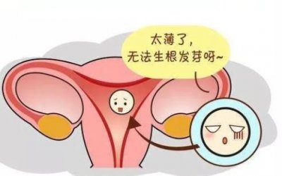 试管婴儿备孕子宫内膜薄怎么办?教你几招!