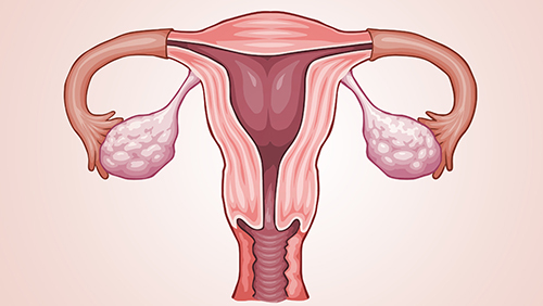 子宫内膜厚度，对试管婴儿成功率有影响吗?